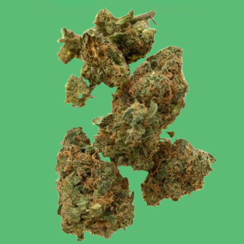Buy Gummy Bears (Hybrid) - UK online dispensary