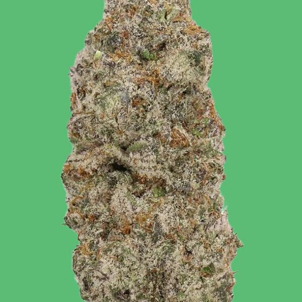 Buy Rainbow Sherbert (Hybrid) - UK online dispensary