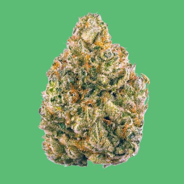 Buy Sneaker Doodle (Hybrid) - UK online dispensary