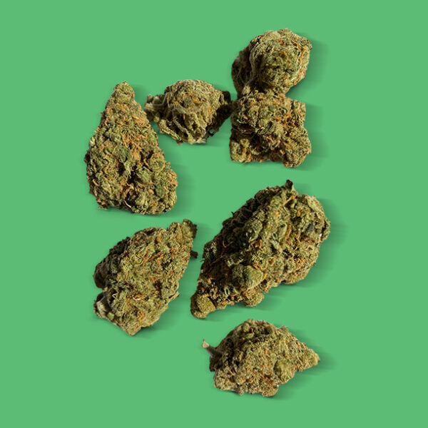 Buy Amnesia Haze (Sativa) - UK online dispensary