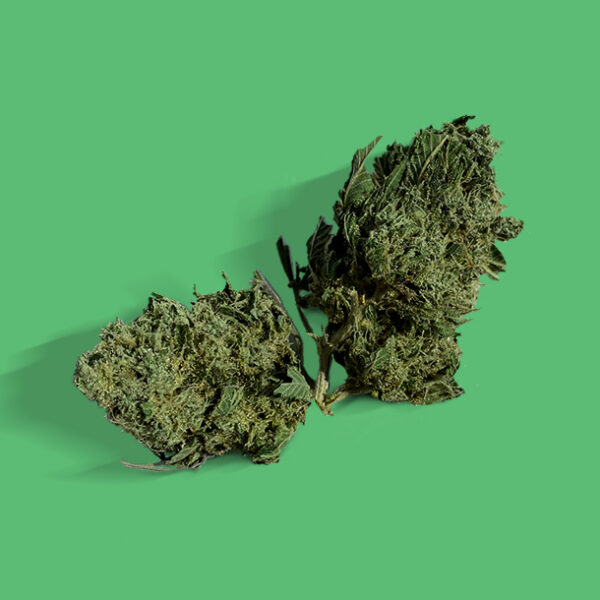 Buy RUNTZ X LAYER CAKE (Hybrid) - UK online dispensary