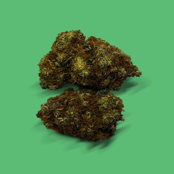 Buy GREAT WHITE SHARK (Hybrid) - UK online dispensary